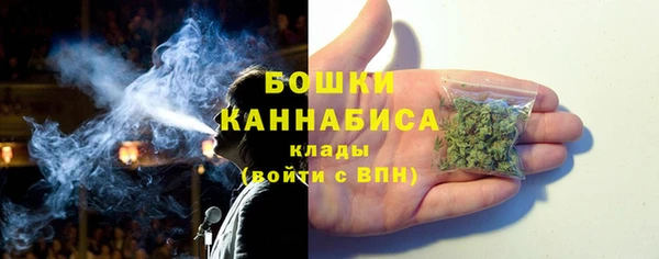 ПСИЛОЦИБИНОВЫЕ ГРИБЫ Богданович