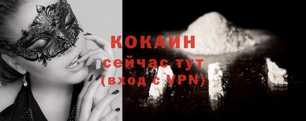 ПСИЛОЦИБИНОВЫЕ ГРИБЫ Богданович