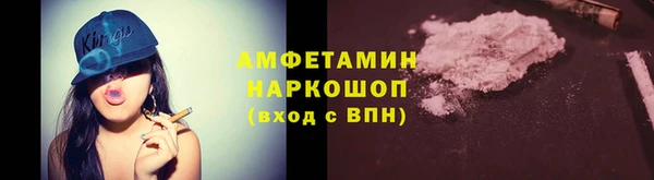 ПСИЛОЦИБИНОВЫЕ ГРИБЫ Богданович