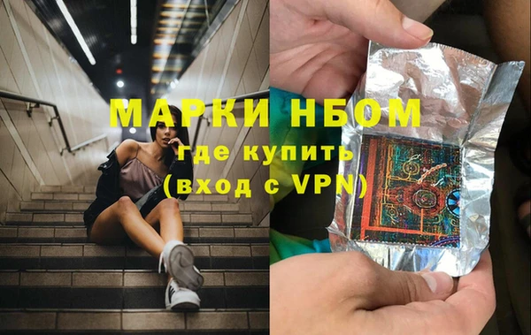 ПСИЛОЦИБИНОВЫЕ ГРИБЫ Богданович