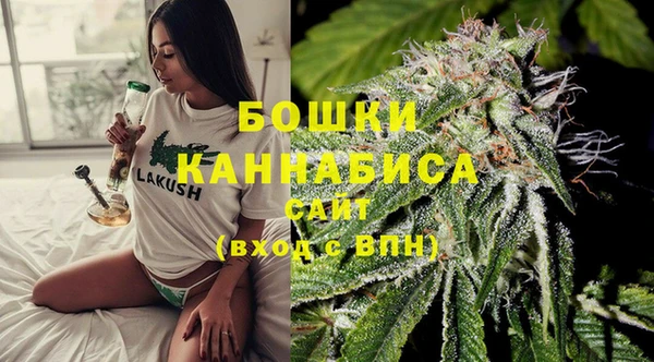 ПСИЛОЦИБИНОВЫЕ ГРИБЫ Богданович