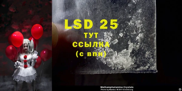 ПСИЛОЦИБИНОВЫЕ ГРИБЫ Богданович