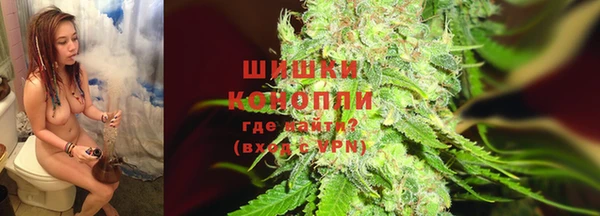 ПСИЛОЦИБИНОВЫЕ ГРИБЫ Богданович