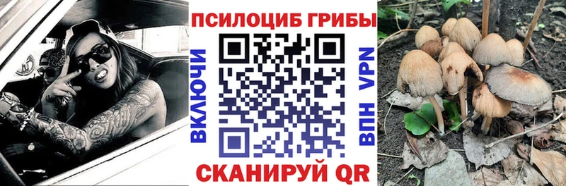 Галлюциногенные грибы Psilocybine cubensis Нелидово